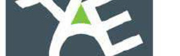Assurances : ACE Groupe partenaire de Transavia