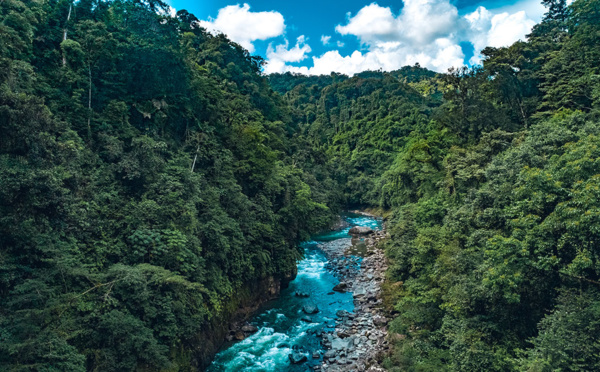 Les enjeux majeurs du Costa Rica en faveur de la protection des forêts