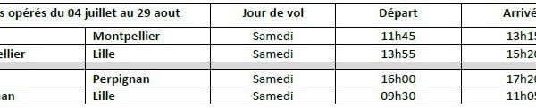 Lille : Hop! volera vers Perpignan et Montpellier pendant l'été 2015