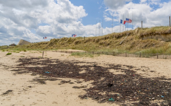 Normandie : le tourisme de mémoire va cartonner en 2024 !  🔑