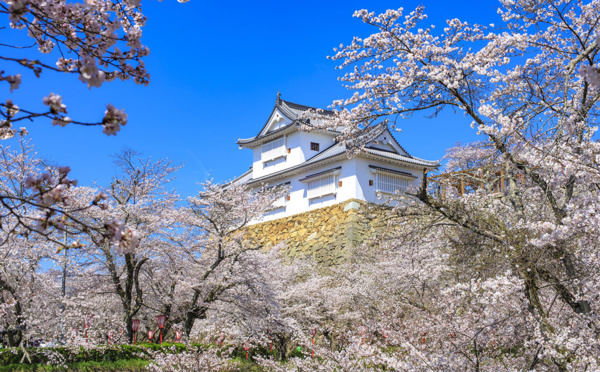 Actualités et idées de voyage en famille en train à Hakone et Mie