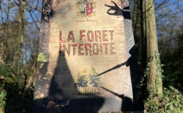 Replonger dans l'univers d'Harry Potter dans la forêt interdite du château Rocher Portail en Bretagne - Château Rocher Portail