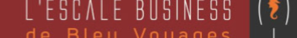 Affaires : Selectour Afat Bleu Voyages organise la 1ère "Escale Business" à Lyon