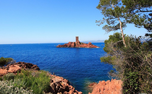 C'est dans ces paysages de rêve - lci, l'Île d'Or près de Saint-Raphaël- qu'a eu lieu le Débarquement de Provence, en août 1944 (© OT St Raphaël-L. Salemi) 