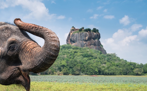 Le Sri Lanka remplace son ETA par un visa électronique | © ShutterStock