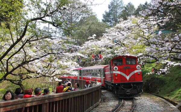 © Alishan, Taiwan Tourism Administration