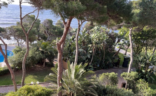 C'est dans une pinède peuplée de palmiers que se déploie, en bord de mer, le Forte Village (©PB)