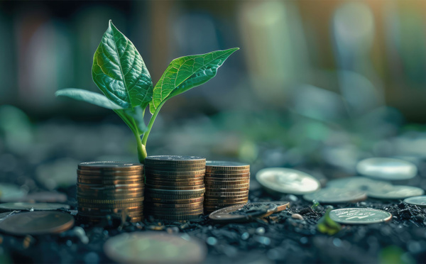 Keewe permet aux acteurs du tourisme de générer de l’impact grâce à leurs paiements internationaux !