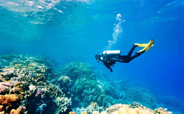 Futuroscopie - Cent mille lieux sous les mers, la plongée étend son empire et son emprise 🔑