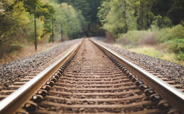Amérigo booste les voyages en train en Amérique du Nord