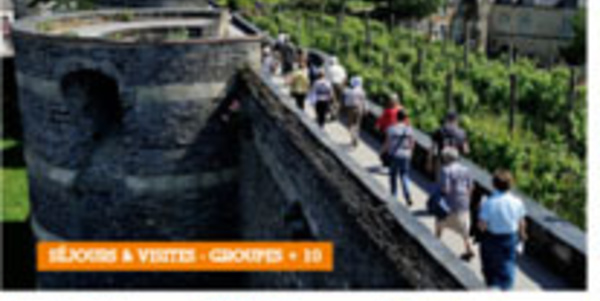 Angers Loire Tourisme étoffe ses offres pour les mini-groupes