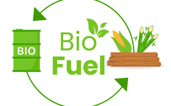 Carburant durable : une véritable solution d'avenir ?