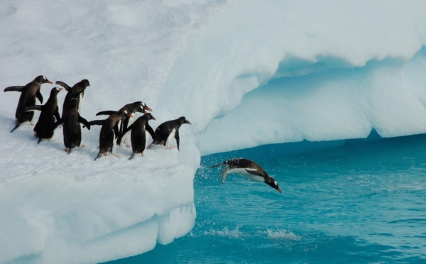 Le SH Diana reprend la route de l'Antarctique