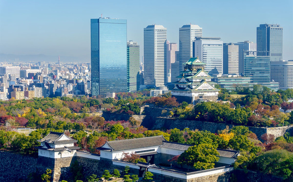 Pourquoi 2025 est la meilleure année pour voyager au Japon ?