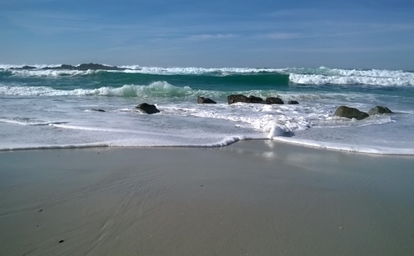 Eductour Visit California : Fascinante Highway 1 - Jour 4