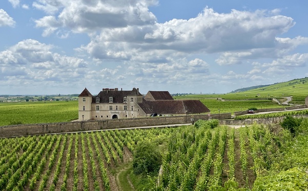 Voyage chic au cœur des Climats de Bourgogne