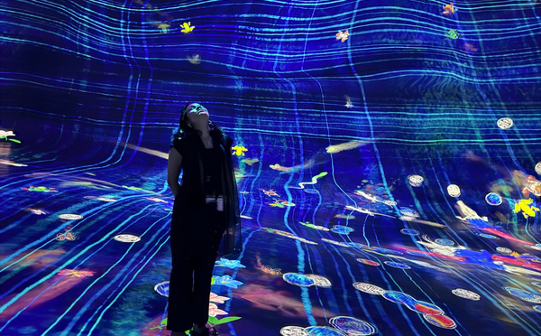 teamLab Phenomena : quand l'art prend vie grâce aux visiteurs - Photo : Maëlle Fontaine