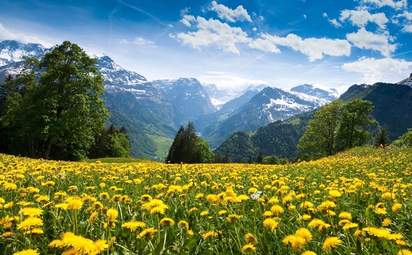 Suisse : Trip-It-Up acquiert SuissePiste