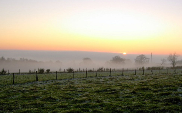 La Case de l'Oncle Dom : Selectour Afat, quand le brouillard se lève…