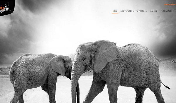 South African Travellers lance un nouveau site Internet