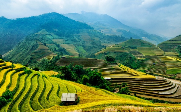 Le Vietnam enregistre une hausse de +40% de pax et de chiffre d’affaires, devenant ainsi la 2e destination de Climats du Monde, derrière la Thaïlande - Depositphotos.com, degist83