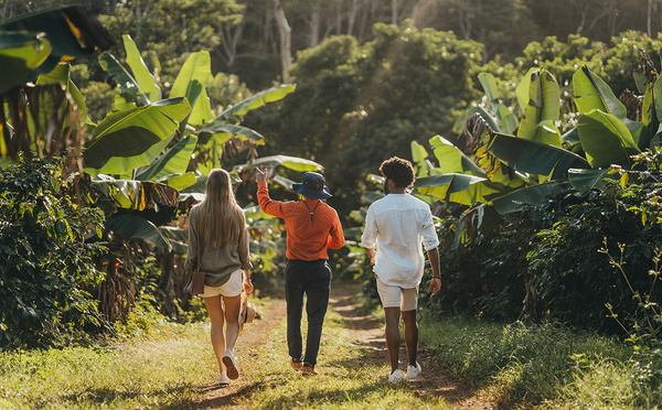 Le Coffee Tour de Chamarel, une expérience sensorielle au cœur des Terres des Sept Couleurs