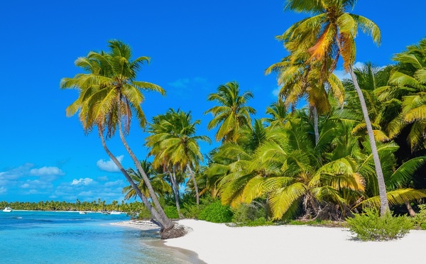 Sandals lance son programme d’Ambassadeurs - Depositphotos.com  Auteur ankamonika
