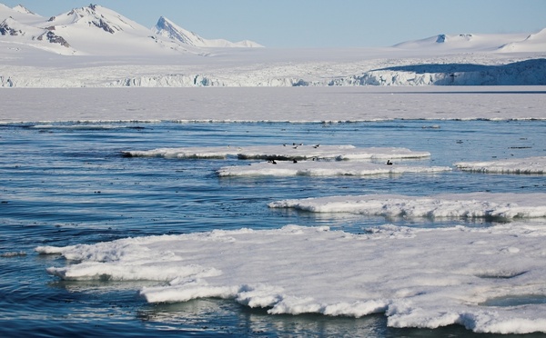 Grand Nord Grand Large trace la voie d’un tourisme responsable - Depositphotos @erectus
