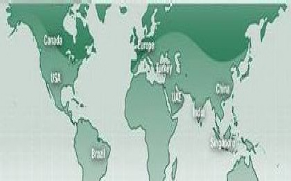 Chapman Freeborn France fête son 20e anniversaire à Marseille