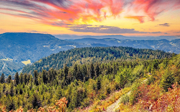 Découvrez Allemagne – Voyages en groupe avec we tours