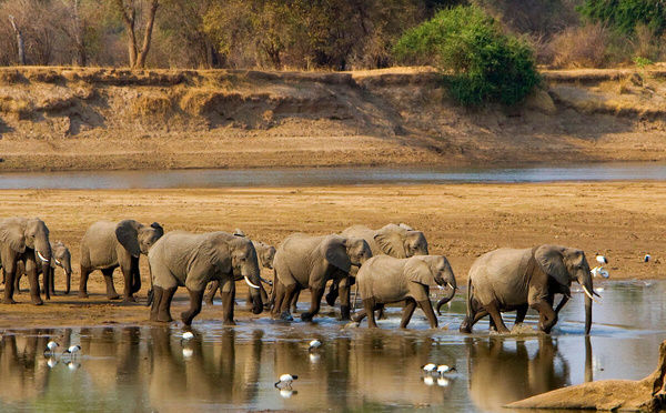Zambie : Anantara ouvre un établissement dans le parc national de Kafue
