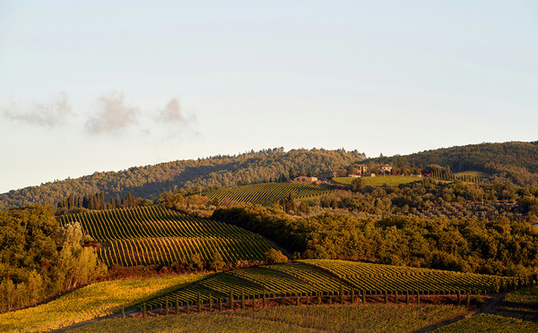 Les meilleures régions viticoles du nord de l'Italie pour les groupes : guide de location d'autocars en Italie
