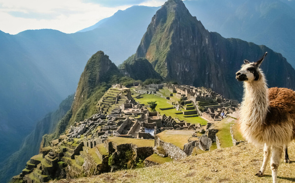 Pérou : le marché français progresse de 6% !