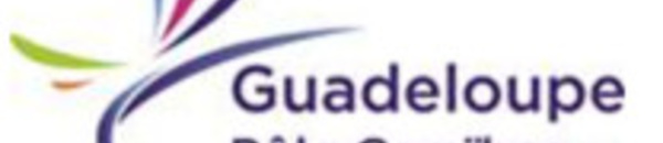 Aéroport Guadeloupe Pôle Caraïbes : le trafic passagers décolle de 14% en mars 2016
