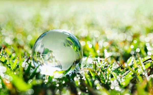 FairMoove renforce son pôle voyage sur mesure avec l’acquisition de TraceDirecte