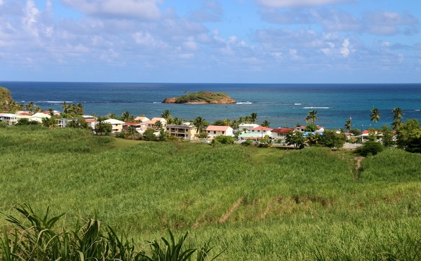 En Martinique, les bonnes surprises du littoral Atlantique