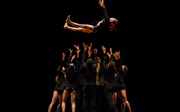 Aller voir par soi-même