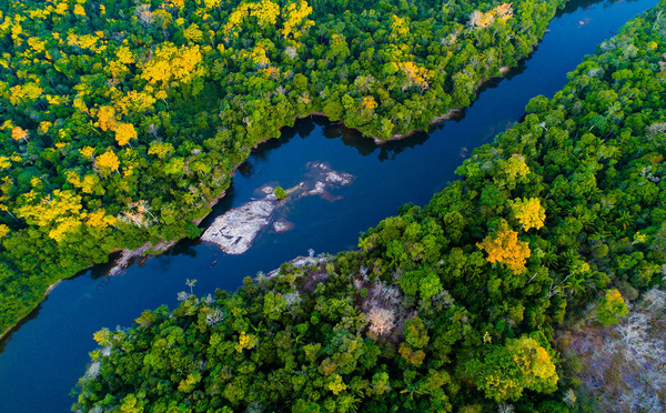 Amazônia : une expérience intense et authentique par Brazil Sensations