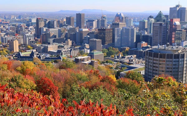 Cyclisme, F1 et festivals : Montréal sort le grand jeu pour 2026