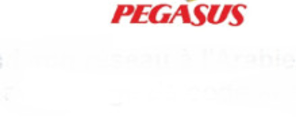Pegasus et Flynas en code-share pour les vols Arabie Saoudite-Turquie