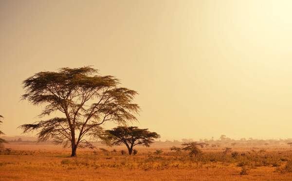 Salaün Holidays lance un challenge de ventes sur l’Afrique du Sud