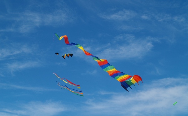 Les Rencontres Internationales de Cerfs-Volants font à nouveau décoller Berck
