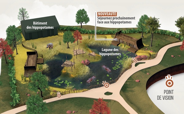 Zoo de La Flèche : 4 nouveaux lodges immersifs face aux hippopotames