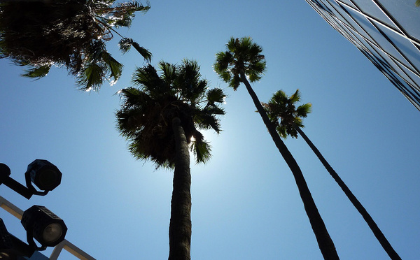 Los Angeles, la Cité des Rêves – Là où le cinéma rencontre l’océan