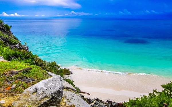 Exotismes dévoile son programme de soirées pour la rentrée 2026