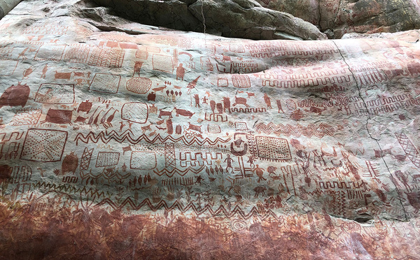 Un été en Colombie avec TERRA Colombia