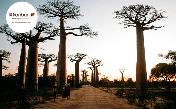 Madagascar, terre d’aventure hors des sentiers battus avec Karibuni