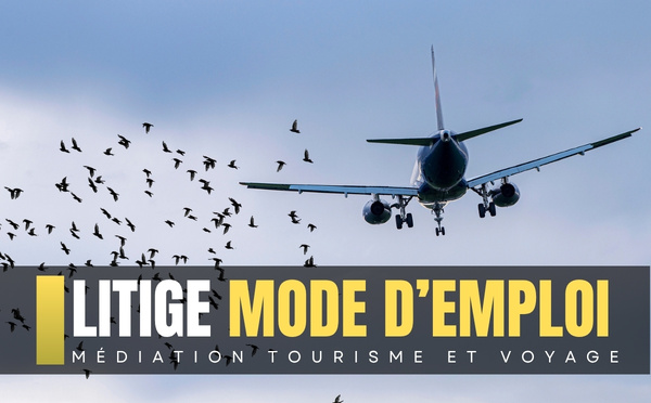 Collision aviaire et retard aérien : les limites du droit à indemnisation [ABO]
