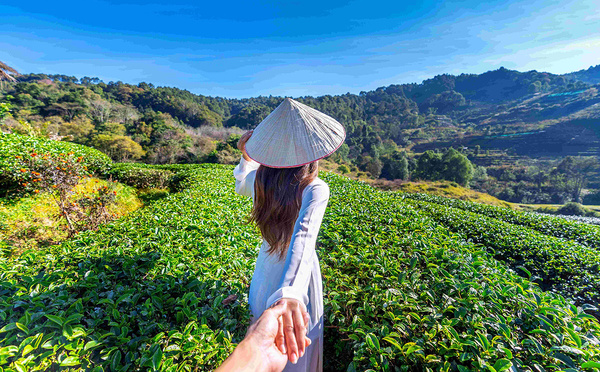La saison verte en Asie du Sud-Est : une opportunité sous-estimée pour les tour-opérateurs ?
