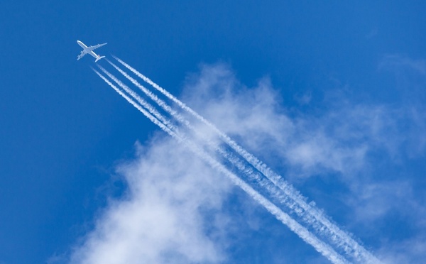 French bee dévoile son programme pour l’été 2026